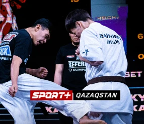 LOW KICK. CHAMPIONSHIP