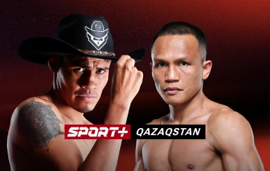 КӘСІПҚОЙ БОКС. НАВАРРЕТЕ – СУАРЕС