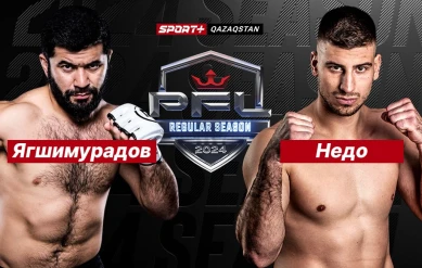 MMA.PFL. YAGSHIMURADOV vs NEDOH