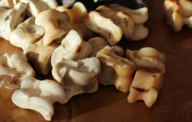 V ВСЕМИРНЫЕ ИГРЫ КОЧЕВНИКОВ. АСЫК АТУ- ВТОРОЙ ФИНАЛ