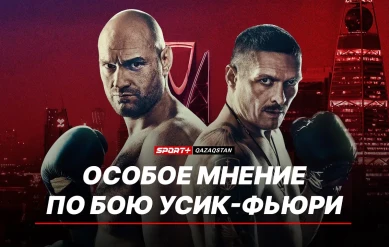 ОСОБОЕ МНЕНИЕ ПО БОЮ УСИК-ФЬЮРИ