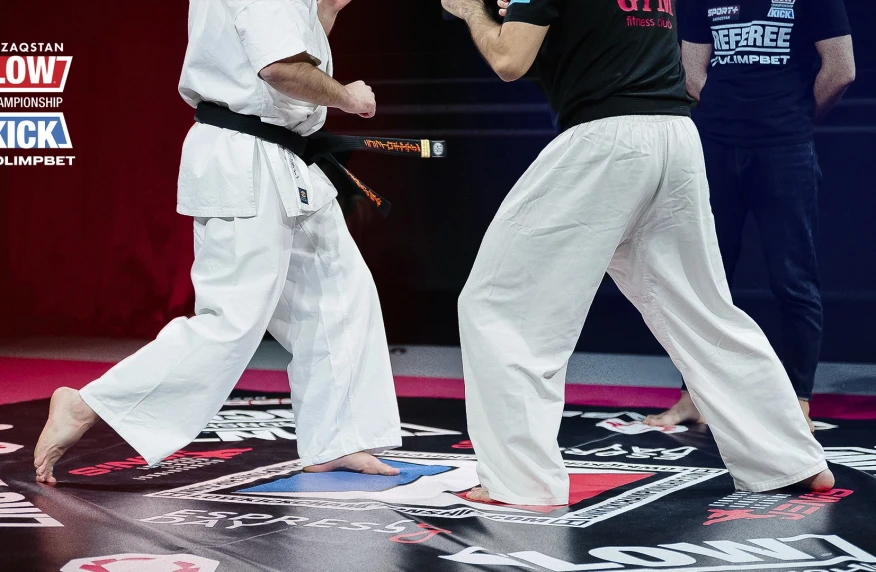 Астанада үш халықаралық титул сарапқа салынды (видео)