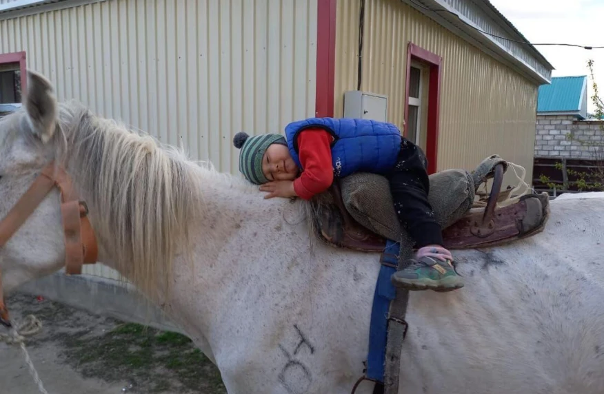 Әке, Ханторыны құтқаршы: үш жасар Бейбарысқа депутат ағылшын тұқымды тұлпар сыйлады