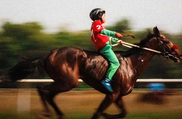 7 тур Чемпионата по Байге в Алматы. Где и во сколько смотреть трансляцию