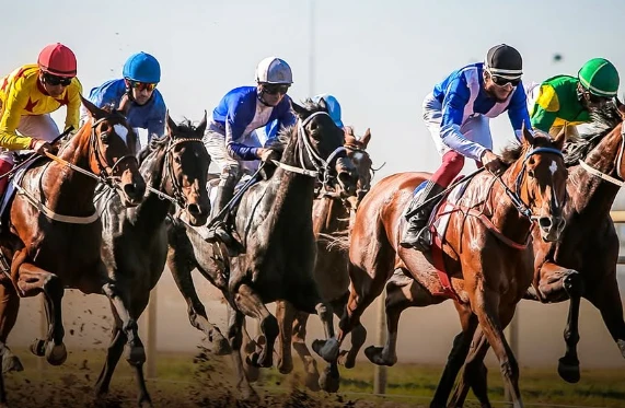 Старт осенней сессии скачек в Алматы. Где и во сколько смотреть трансляцию классических скачек