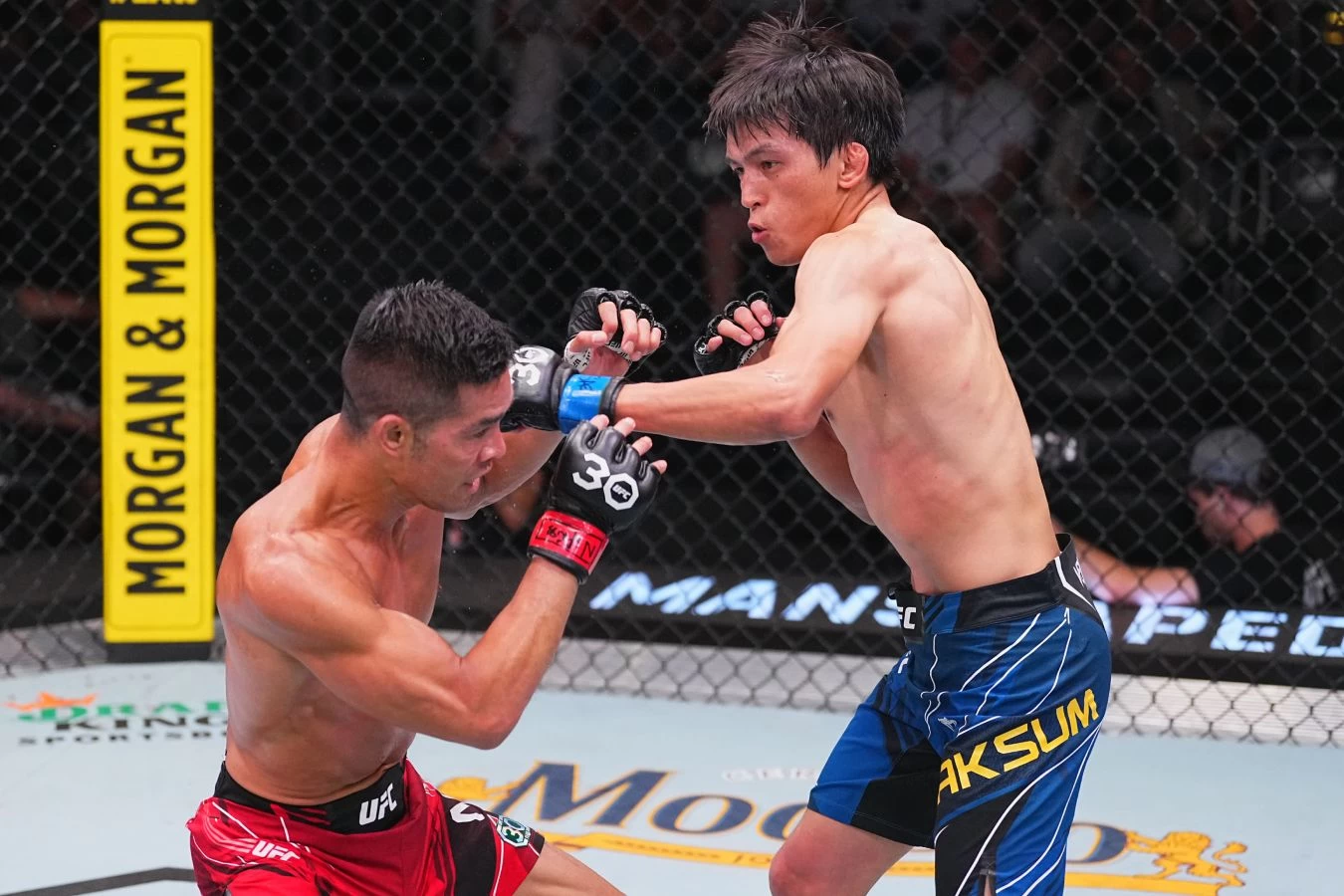 алексей алферов бокс. чемпионат бокса по миру. новости бокса казахстана. казахстан бокс. казахский боксер.