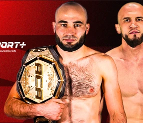 ММА. АСА 208